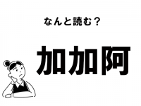 【難読】“かかあ”じゃない！　「加加阿」の正しい読み方