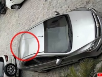 駐車していた車の屋根がへこむというアクシデント。犯人は意外な人物、っていうか動物だった！（インド）