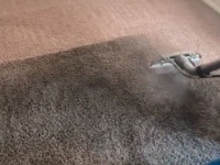 グレーのカーペットかと思ったら...プロの掃除術が凄い！驚愕のビフォア・アフター