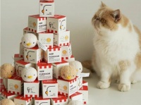 KFCが猫用チキンをプレゼント。ヒヨコの形をしたかわいいおもちゃです