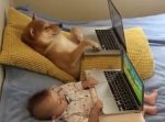 一緒に寝そべって映画を観る赤ちゃんとワンコがかわいすぎる…！