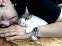 愛猫家はやっぱりヒゲメンが率高かったりする？飼い主に「大好き」アピールする猫たち