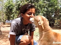 Animal Aid～もう大丈夫だよ！頭にケガをして動けなかった犬が、元気に走り回るようになるまで（※出血注意）