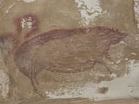 インドネシアで発見された世界最古の動物の壁画。4万5千年以上前に描かれたイノシシ