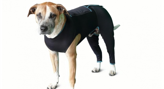 株式会社ローズクリエイトのプレスリリース画像