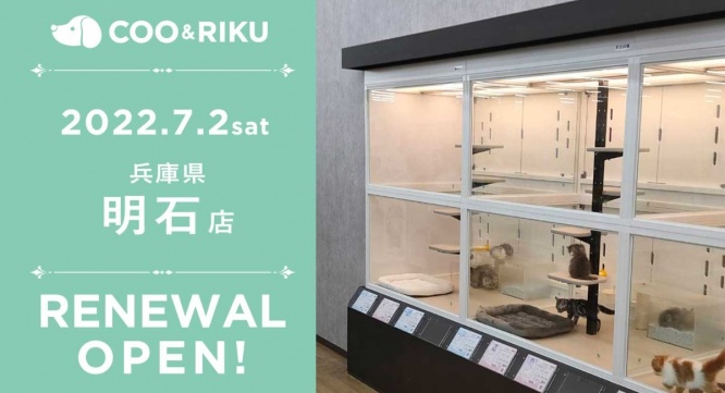 有限会社 Coo&amp;RIKUのプレスリリース画像