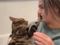 「ごめん、冗談だってば！」愛猫にちょっぴり意地悪をしてみた結果、極上のハグが返ってきた！