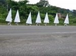 なんだこいつら！？　道路脇を歩く白い三角形の行列。