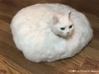 猫が適応進化するとこうなる！？自分の毛を自分で掃除してくれるかもしれない猫の未来形