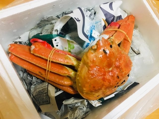 「貸してみな」　買い物したばかりの品々を、言われるがままに初対面の相手に差し出した結果（50代女性）