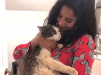 「これから幸せになるんだよ！」ニューヨークの野良猫ビフォーアフター