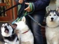 静止とかしてられないんだわ。動物たちの兄弟写真に個性がたっぷり出てた。