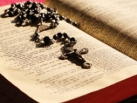 画像はイメージです