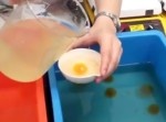 【食べるな危険】本物そっくり“偽卵”の製造過程とは？