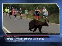 米国のマラソン大会でランナーたちの前をクマが横切るハプニングが発生！