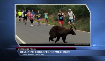 米国のマラソン大会でランナーたちの前をクマが横切るハプニングが発生！