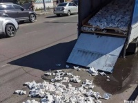 トラックの荷台から路上に零れ落ちたのは大量の娘フラワーだった件