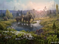 200万年前のDNAから明らかになった北極圏の緑豊かな生態系