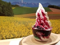 インスタ映えNo.1アイスはどれ!?　この夏食べたい「ご当地アイス」10選