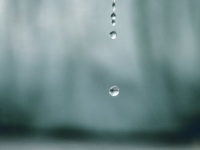 【一白水星】2021年前半の運勢