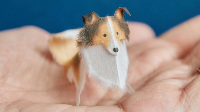 手のりシェットランドシープドッグ