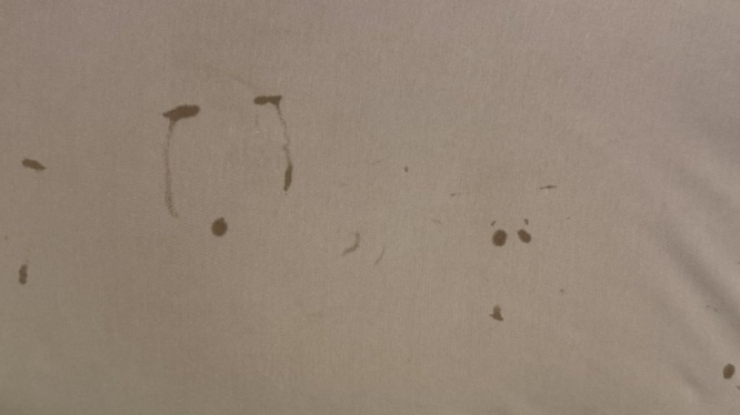 イヤイヤ期真っ盛りの2歳児がハマった行動に8.4万人爆笑　「最高www」「後世に残そう」