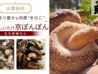 Potatoのプレスリリース画像