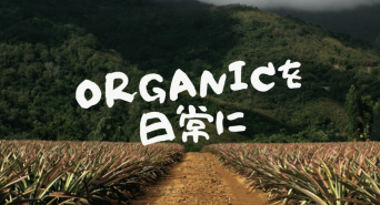 株式会社ローズクリエイトのプレスリリース画像