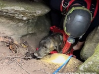 クマがいる洞窟に3日間閉じ込められていた犬が無事救助される