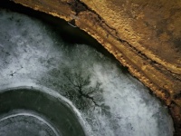 目覚めさせてしまったようだ。永久凍土がとけて長い眠りから覚醒した生物