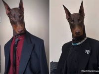 イケメンすぎて推せる。ドーベルマン犬のファッションモデルは画像加工なしでこんなにかっこいい