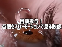 これは興味深い！点眼の瞬間をスローモーションで見る映像