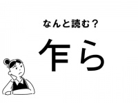 【難読】なんて読む？「乍ら」の正しい読み方