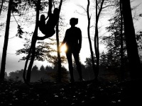 大自然の中でサバイバルに挑戦したら何日間生き残れる？アメリカ人は平均で16日生き残れると回答