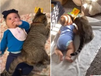 人間に心を許さなかった保護猫、赤ちゃんが誕生すると豹変、常に寄り添い守ろうとする
