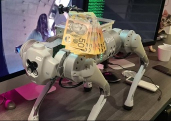 ロボット犬を散歩させていたら見知らぬ女に蹴られた飼い主、賞金をつけSNSで犯人捜し