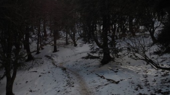 「あの時戻ってきてもらえなかったら、どうなっていたか」　3年前に出会った〝恩人〟に伝えたい感謝