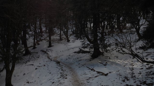 「あの時戻ってきてもらえなかったら、どうなっていたか」　3年前に出会った〝恩人〟に伝えたい感謝