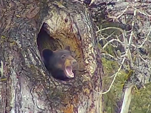 スクリーンショット-(803)