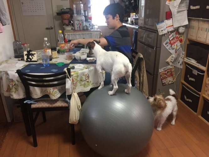 （写真は再掲）