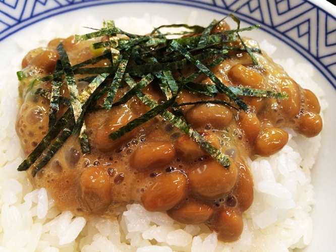 donburi4