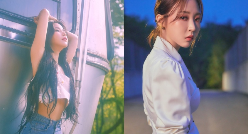 株式会社メジャーナインジャパンのプレスリリース画像