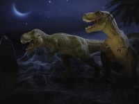 ティラノサウルスは賢かった。霊長類に匹敵する知能を持っていた可能性があるとする新説