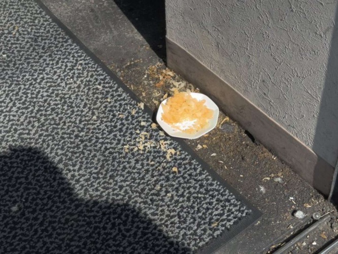 塩......じゃない！（画像はいとう＠ukiuki_panchiさんの投稿より）