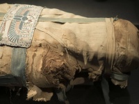 古代エジプトのミイラは遺体保存が目的ではなかった。死者を神性へと導くための処置