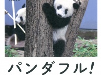 株式会社大和書房のプレスリリース画像