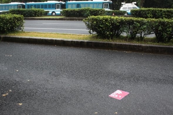 濡れて色が落ちている