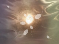 世界最古の精子を発見。それは琥珀の中に閉じ込められていた（ミャンマー）