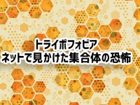 集合体が怖い、無数に開いた穴が怖いけど見たくなる。トライポフォビアのスレに集まった画像