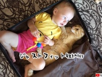猫と赤子がぴったり収まるスーツケース収納術